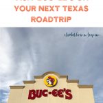 what is buc-ee's